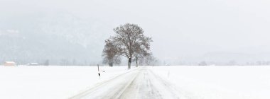 Alpleri'nde kış sahne