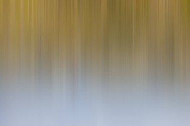 ışık soyut gradyan hareketi bulanık arkaplan