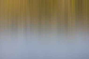 ışık soyut gradyan hareketi bulanık arkaplan