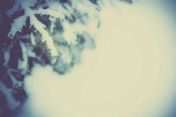 Zimowe naturalne podłoże z efektu vintage — Zdjęcie stockowe