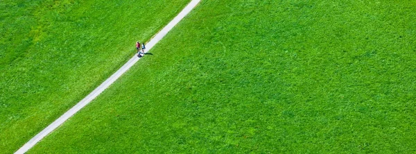 Walking footpath in green field — Stock Photo, Image