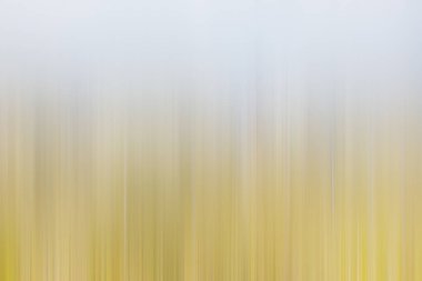 ışık soyut gradyan hareketi bulanık arkaplan