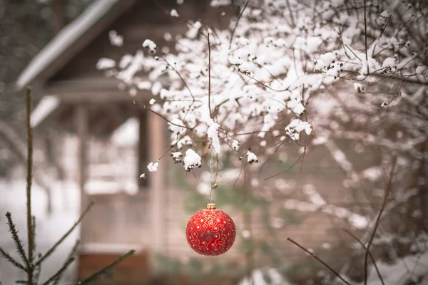 Boule de Noël sur une branche d'arbre — Photo