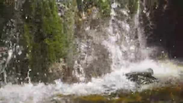Kis vízesés patakok svájci Alpokban — Stock videók