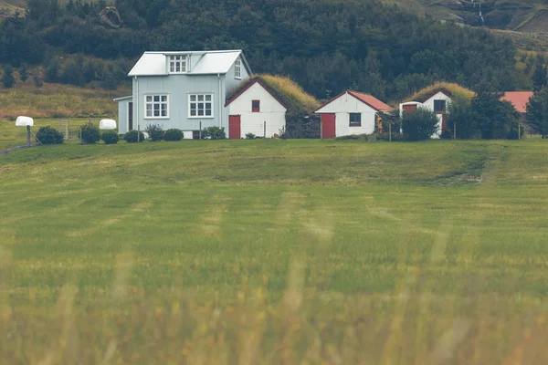 白色壁板冰岛房子 — 图库照片