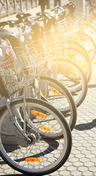 Noleggio biciclette in città parcheggiate in fila — Foto Stock