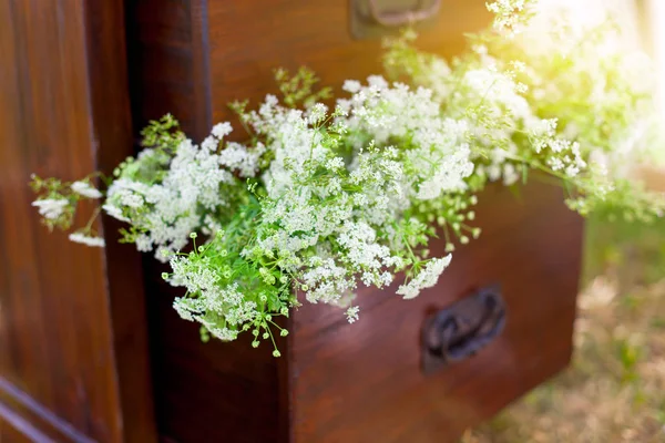Vita blommor i en låda — Stockfoto