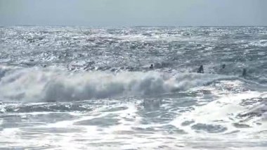Siluetleri sörfçü üzerinde Atlantik Okyanusu dalgaları nearcapbreton, Fransa