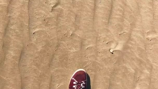 Chica en zapatillas de deporte disparando sus piernas mientras camina en una playa de arena — Vídeo de stock