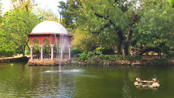 玛丽亚路易莎公园花园在塞维利亚安达卢西亚西班牙 — 图库视频影像