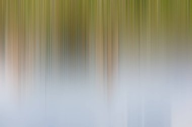 Soyut degrade hareket ışık arka plan bulanık. Renkli çizgi