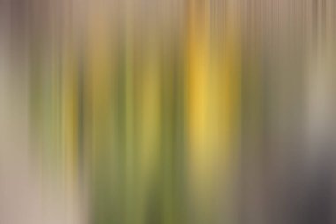 Soyut degrade hareket ışık arka plan bulanık. Renkli çizgi