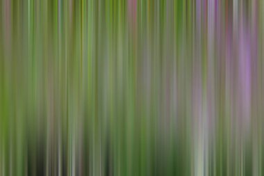 Soyut degrade hareket ışık arka plan bulanık. Renkli çizgi