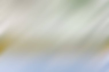 Soyut degrade hareket ışık arka plan bulanık. Renkli çizgi