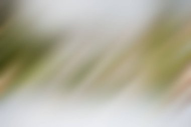 Soyut degrade hareket ışık arka plan bulanık. Renkli çizgi