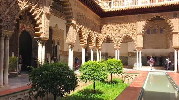 España Sevilla Marzo Vista Los Interiores Reales Del Palacio Del — Vídeos de Stock