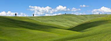 Tuscan val d'orcia arka plan
