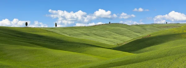 Toscana Val d 'Orcia fundo — Fotografia de Stock