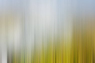 Soyut degrade hareket ışık arka plan bulanık. Renkli çizgi