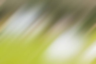 Soyut degrade hareket ışık arka plan bulanık. Renkli çizgi