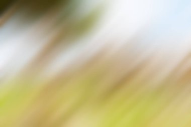 Soyut degrade hareket ışık arka plan bulanık. Renkli çizgi