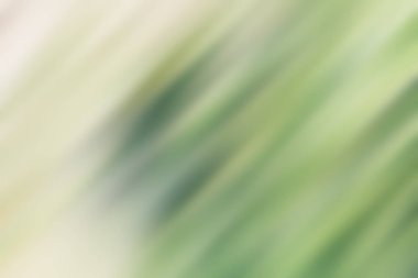 Soyut degrade hareket ışık arka plan bulanık. Renkli çizgi