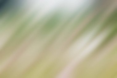 Soyut degrade hareket ışık arka plan bulanık. Renkli çizgi