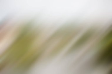 Soyut degrade hareket ışık arka plan bulanık. Renkli çizgi