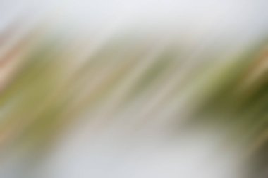 Soyut degrade hareket ışık arka plan bulanık. Renkli çizgi