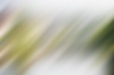 Soyut degrade hareket ışık arka plan bulanık. Renkli çizgi