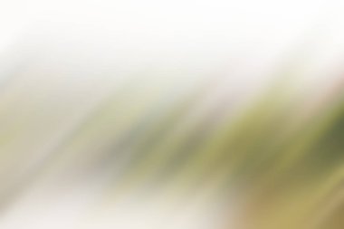 Soyut degrade hareket ışık arka plan bulanık. Renkli çizgi