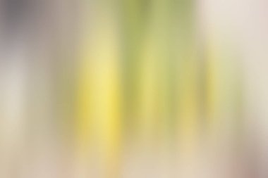 Soyut degrade hareket ışık arka plan bulanık. Renkli çizgi