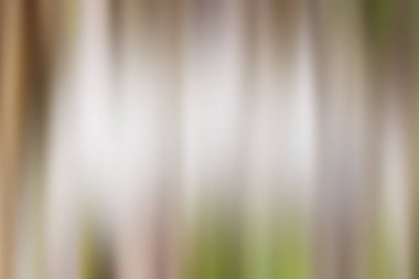 Soyut degrade hareket ışık arka plan bulanık. Renkli çizgi