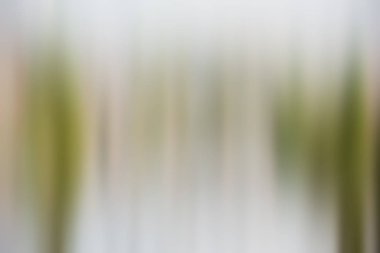 Soyut degrade hareket ışık arka plan bulanık. Renkli çizgi