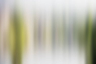 Soyut degrade hareket ışık arka plan bulanık. Renkli çizgi