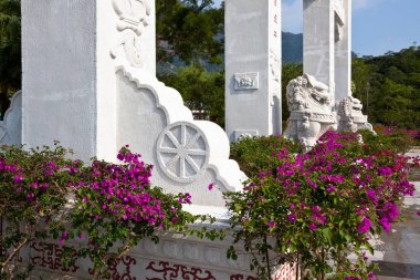 Hong Kong'da büyük Buda Po Lin Manastırı