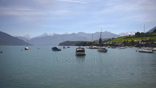 Barcos Flutuando Lago Thun Bernese Oberland Suíça — Vídeo de Stock