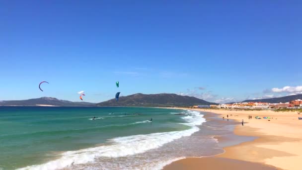 Spanje Tarifa Maart Kitesurfers Surfen Aan Zee Tarifa Spanje Maart — Stockvideo