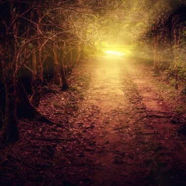 Gizem yolu ormana atmak