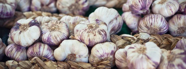 Manojos de ajo en un mercado —  Fotos de Stock