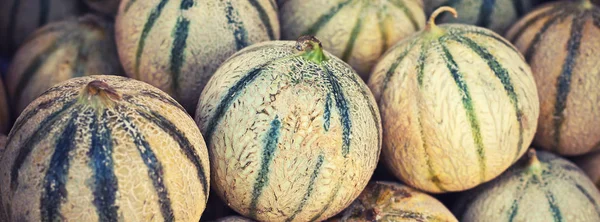 Ripe fresh melons pile in a farmers market — Stock Photo, Image