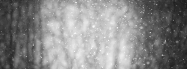 Winter blur background with snowflakes — Stock Photo, Image