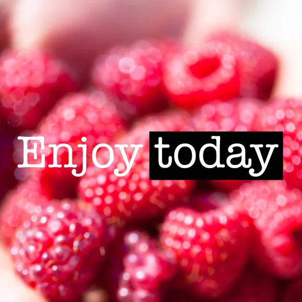 Red raspberries. Enjoy today — Stock Photo, Image