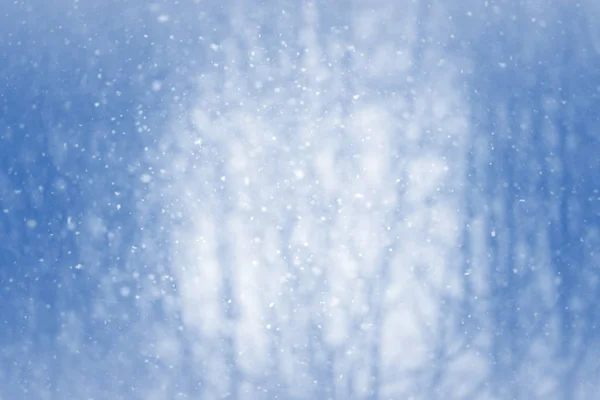 Fondo borroso de invierno con copos de nieve —  Fotos de Stock