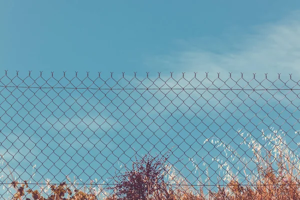 Razor and barbed wire fence — Stock Photo, Image