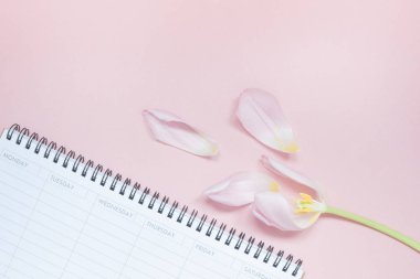 Açık boş Resepsiyon planlayıcısı düz lay ile Pembe Lale