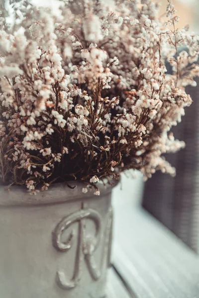 Flores de brezo blanco en maceta al aire libre — Foto de Stock