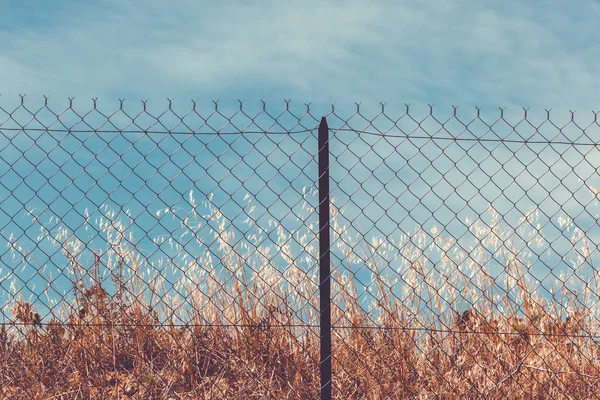 Rasoio e recinzione filo spinato — Foto Stock