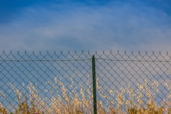 Scheermes en prikkeldraad hek — Stockfoto