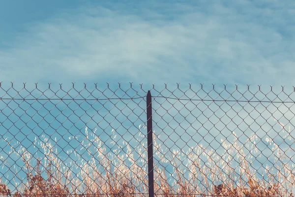 Razor and barbed wire fence — Stock Photo, Image